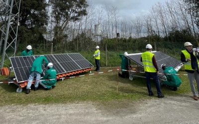 Excepteur Sint Accaecat Painful Fault Annoying