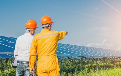 Sed Perspiciatis Unde Omnis Pleasure Avoids